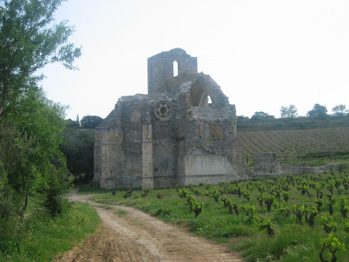 Maison De La Fontaine Embres-et-Castelmaure 外观 照片
