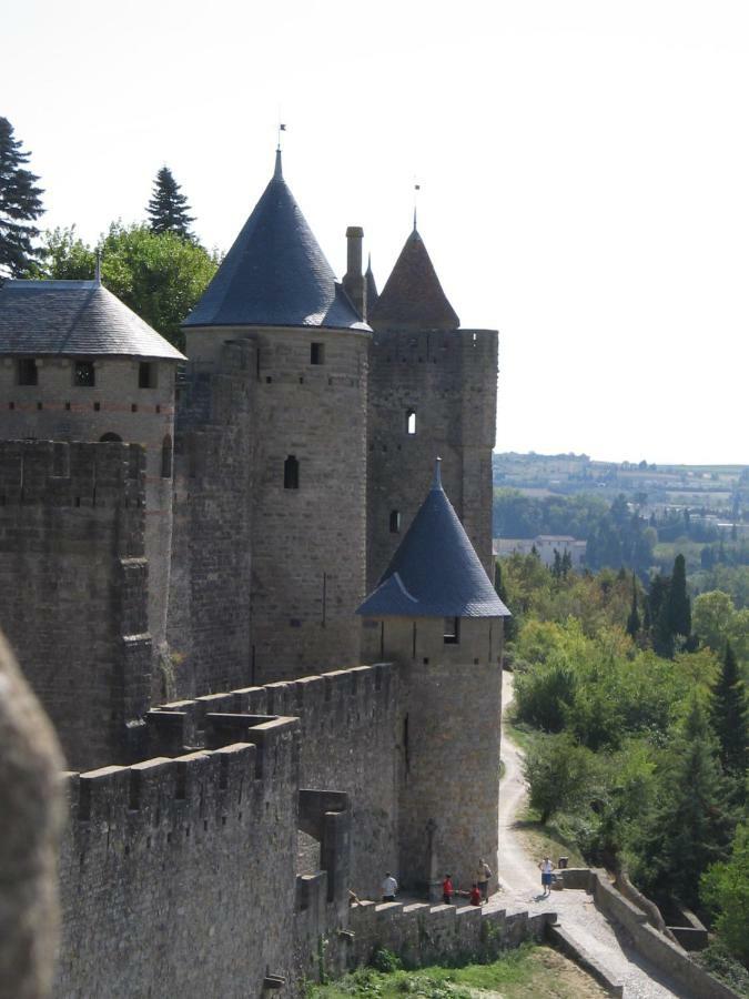 Maison De La Fontaine Embres-et-Castelmaure 外观 照片